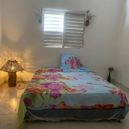 The Water Melon House Appartement Samana Buitenkant foto